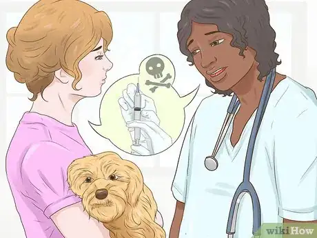 Imagen titulada Make Your Dog's Final Days Special Step 12