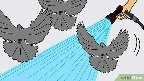Imagen titulada Get Rid of Pigeons Step 10