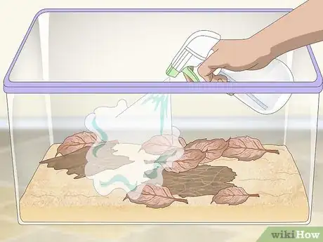 Imagen titulada Breed Isopods Step 3