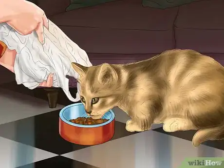 Imagen titulada Encourage Your Cat to Eat Step 11