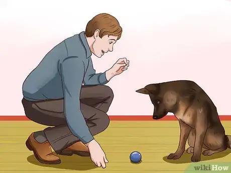 Imagen titulada Get Dogs to Stop Barking Step 4
