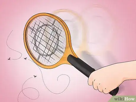 Imagen titulada Get Rid of Mosquitoes Step 1