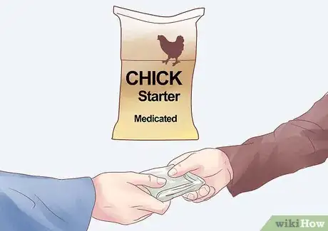 Imagen titulada Feed Chickens Step 4