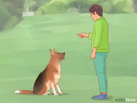 Imagen titulada Introduce a Dog to a Dog Park Step 2