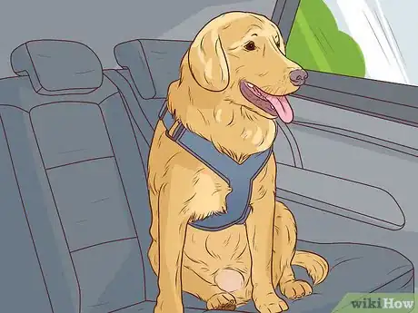 Imagen titulada Know if Your Dog Has a Slipped Disc Step 11
