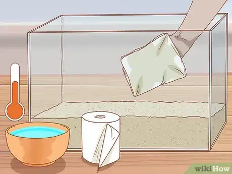 Imagen titulada Sanitize a Fish Tank Step 4