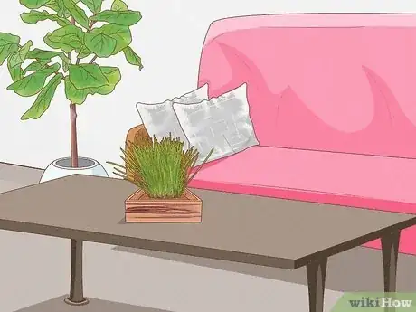 Imagen titulada Give Cat Grass to a Cat Step 13