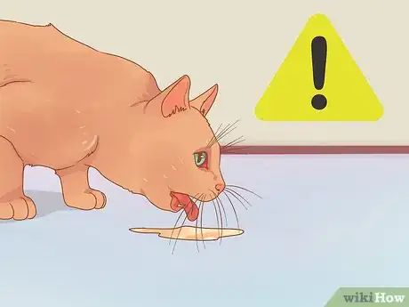 Imagen titulada Deworm a Kitten Step 10