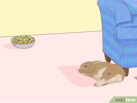 Imagen titulada Care for an Injured Rabbit Step 2