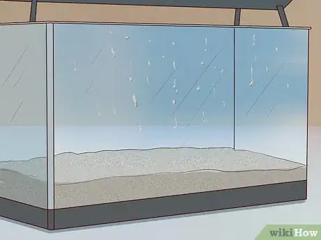 Imagen titulada Take Care of a Russian Tortoise Step 6