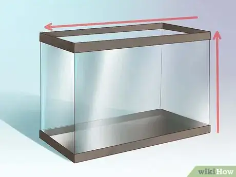 Imagen titulada Create an Undergravel Filter for Your Fishtank Step 1