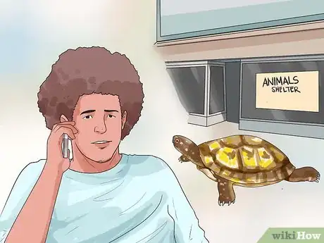 Imagen titulada Find a Turtle Step 1