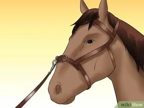 Imagen titulada Teach Your Horse to Lunge Step 2