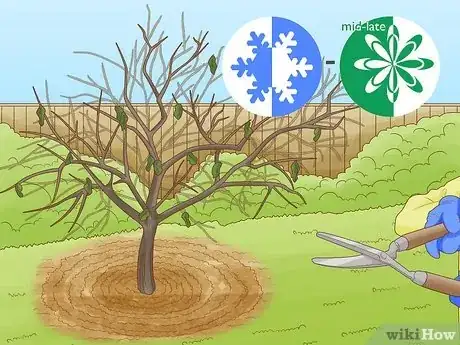 Imagen titulada Prune Citrus Trees Step 3