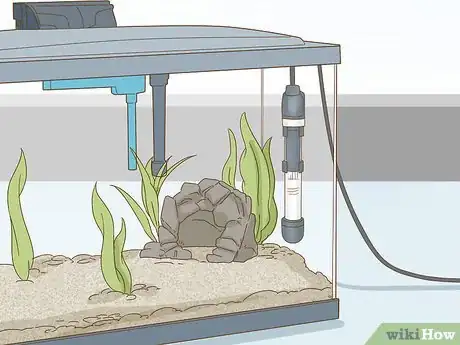 Imagen titulada Care for an Angelfish Step 4