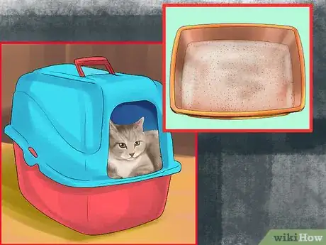 Imagen titulada Retrain a Cat to Use the Litter Box Step 4