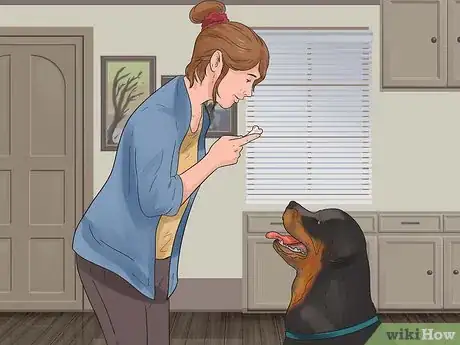 Imagen titulada Teach Your Dog Tricks Step 3