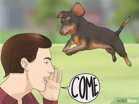 Imagen titulada Train Your Dog to Use a Dog Door Step 19