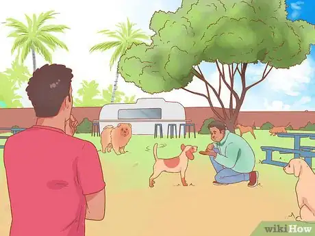 Imagen titulada Introduce a Dog to a Dog Park Step 9
