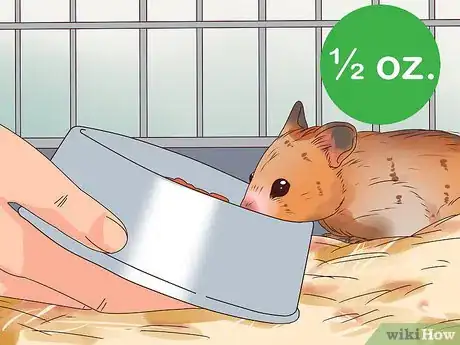 Imagen titulada Care for a Hamster Step 11