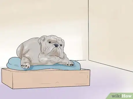 Imagen titulada Help Your Dog Whelp or Deliver Puppies Step 9