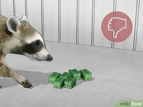Imagen titulada Kill Raccoons Step 8