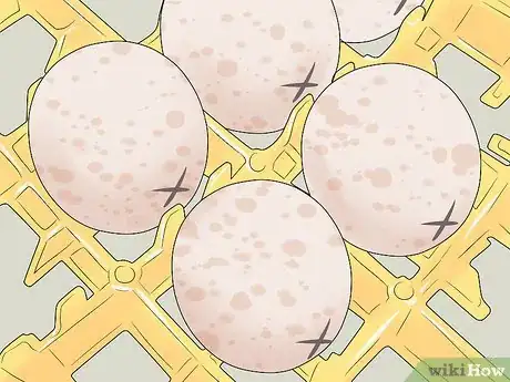 Imagen titulada Hatch Turkey Eggs in an Incubator Step 7