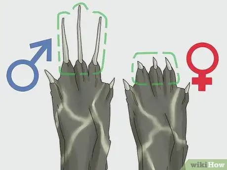 Imagen titulada Tell If a Turtle Is Male or Female Step 5