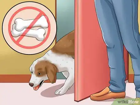 Imagen titulada Teach Your Dog to Speak Step 18