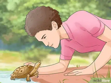 Imagen titulada Find a Turtle Step 5