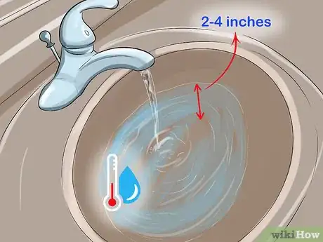 Imagen titulada Bathe a Hedgehog Step 5