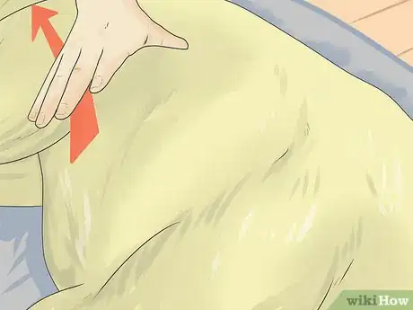 Imagen titulada Relieve Hip Pain in Dogs Step 9