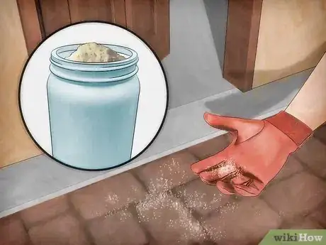 Imagen titulada Get Rid of Stink Bugs Naturally Step 1