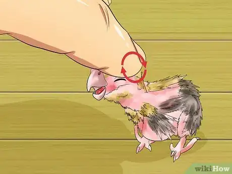 Imagen titulada Massage a Cockatiel Step 13