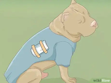 Imagen titulada Help Your Dog Recover from Surgery Step 16