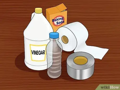 Imagen titulada Make a Vinegar Bomb Step 1