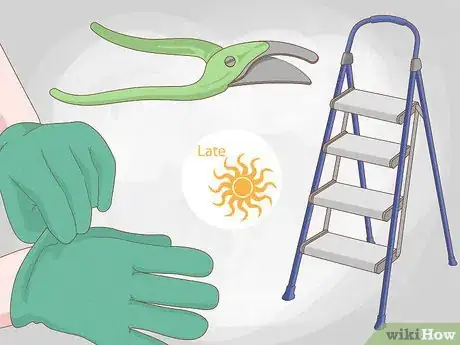 Imagen titulada Prune Wisteria Step 6