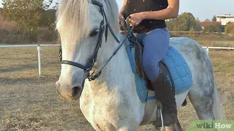 Imagen titulada Sit the Canter Properly Step 9