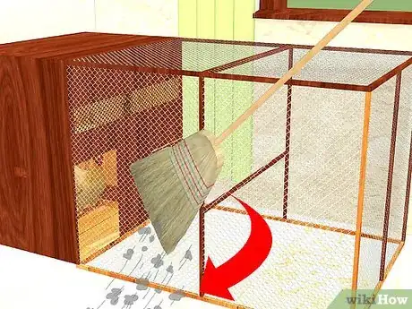 Imagen titulada Care for a Chicken in an Apartment Step 5