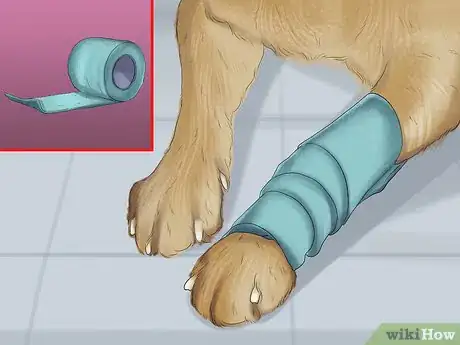 Imagen titulada Stop a Dog from Bleeding Step 8