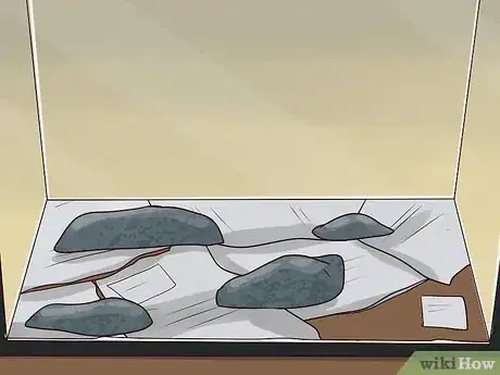 Imagen titulada Care for a Leopard Gecko Step 2