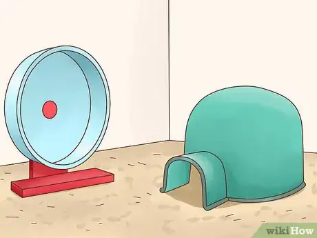 Imagen titulada Take Care of a Hedgehog Step 8