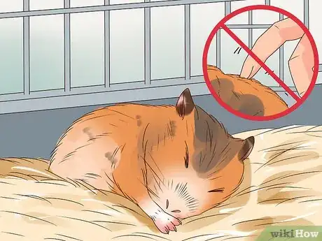 Imagen titulada Care for a Hamster Step 21