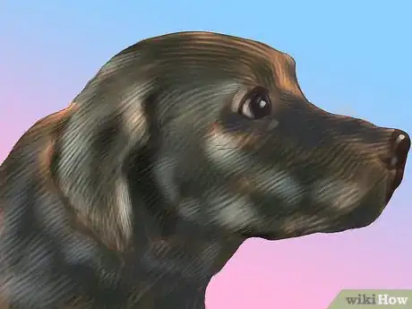 Imagen titulada Diagnose Vitiligo in Dogs Step 2