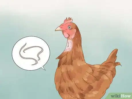 Imagen titulada Tell if a Chicken is Sick Step 18