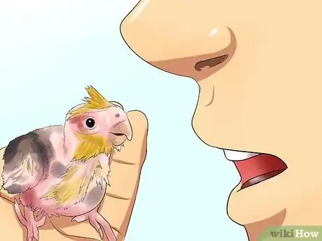 Imagen titulada Massage a Cockatiel Step 12