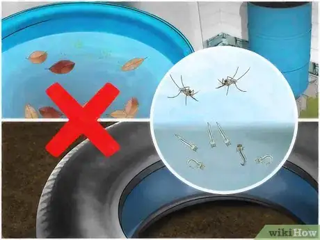 Imagen titulada Prevent Mosquitoes from Breeding Step 1