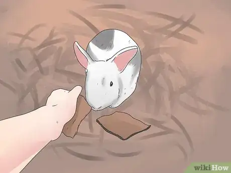 Imagen titulada Care for Mini Lop Rabbits Step 12