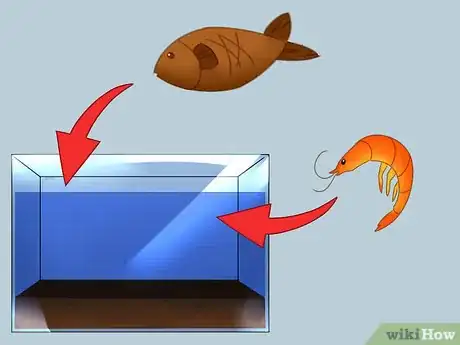 Imagen titulada Build a Self Sustaining Ecosystem Step 7