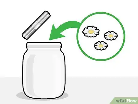 Imagen titulada Dry Chamomile Step 6